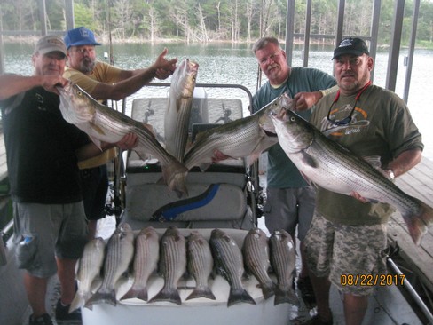 Nice Striped Bass